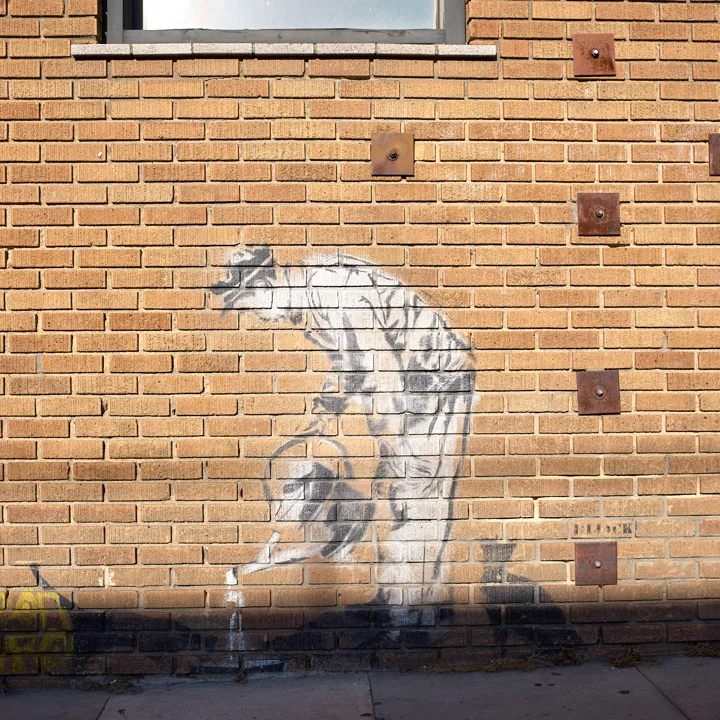 Nature called. Somebody answered it with a can of spray paint.