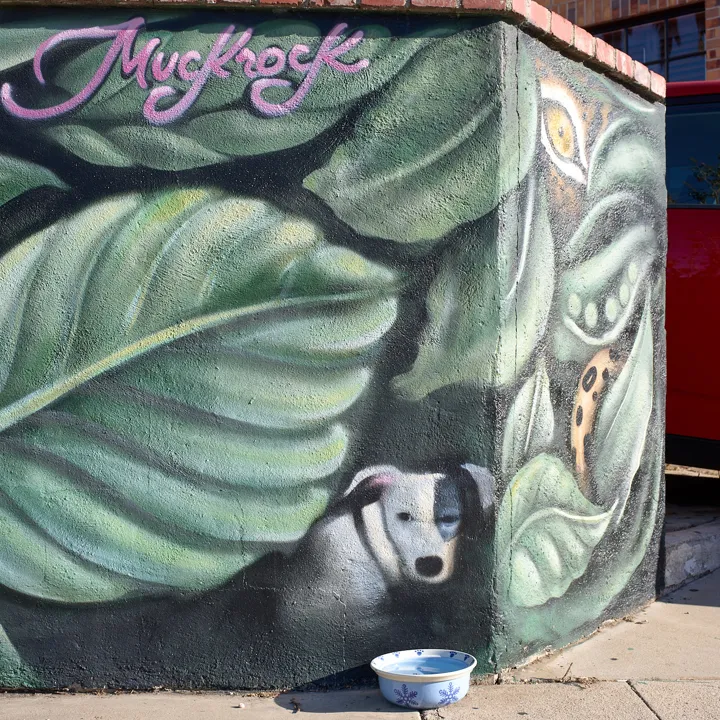 Who let the dogs out? Nobody. He is painted in, but somebody left him water anyway.